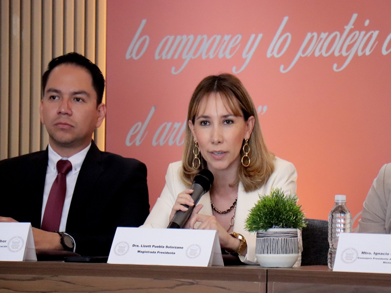 TAAM e IEM suman esfuerzos para garantizar defensa adecuada en procedimientos anticorrupción